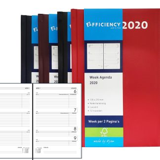 Ryam Efficiency 8348 Short Agenda 2026 - Blue