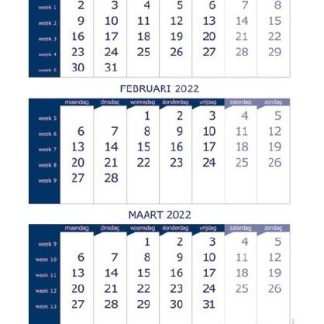 Ryam Three Month View Calendar 2026